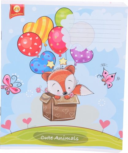 Зошити та блокноти