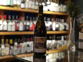 ქისი - იბერო #3 / Kisi - Ibero #3