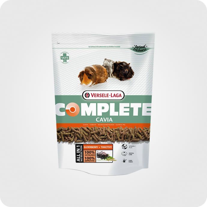 მღრღნელები..