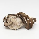 კალმახა სოკო ასაწონი ქართული / 500 გრ