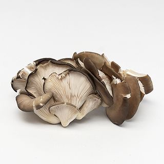 კალმახა სოკო ასაწონი ქართული / 500 გრ