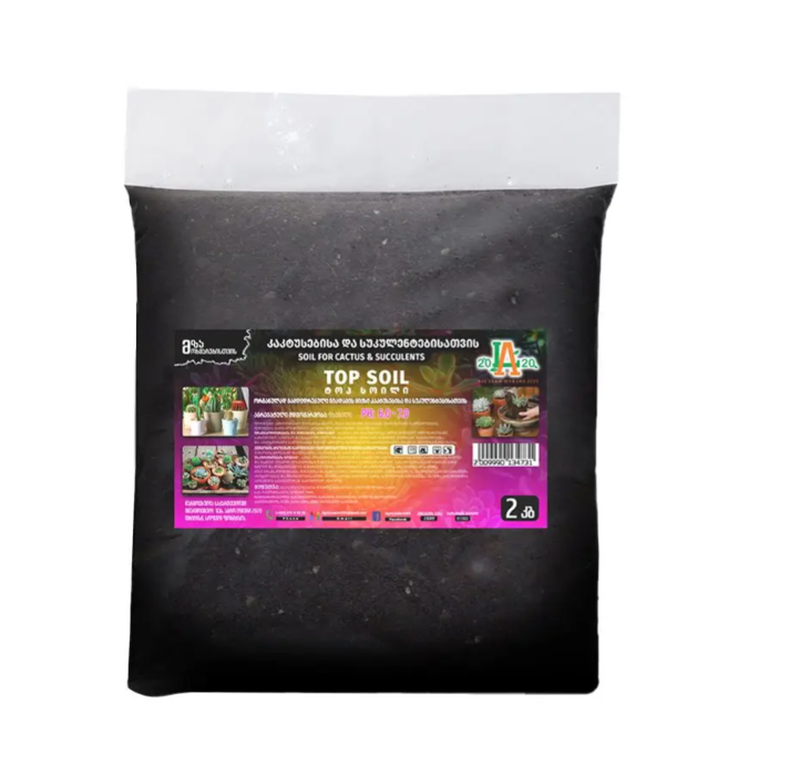 ეზო და ბაღი