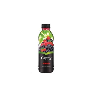CAPPY წვენი ტყის კენკრის 1ლ/5449000288820