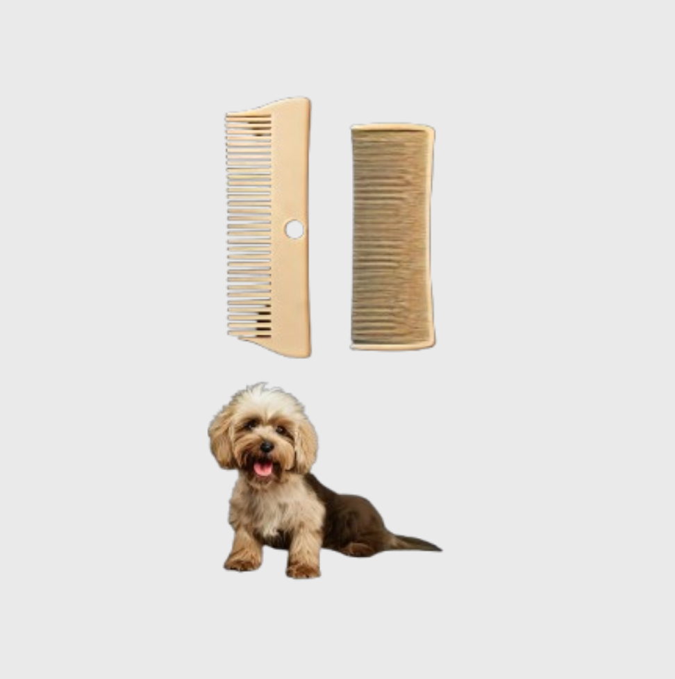 Շների խնամքի պարագաներ