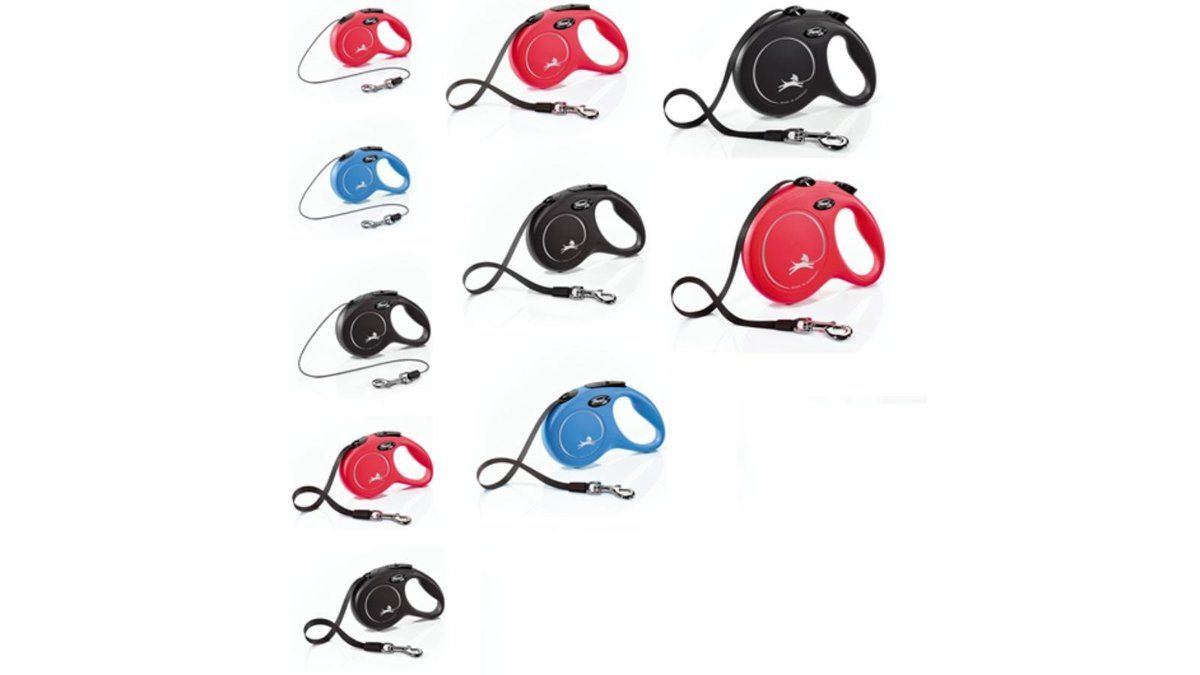 ძაღლის საყელოები და საბელები