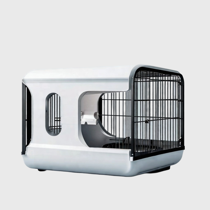 გალიები