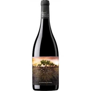 Вино Vintae La Garnacha Olvidada de Aragon черв.сухе 0.75 л