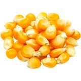 Кукурудза для попкорну вагова