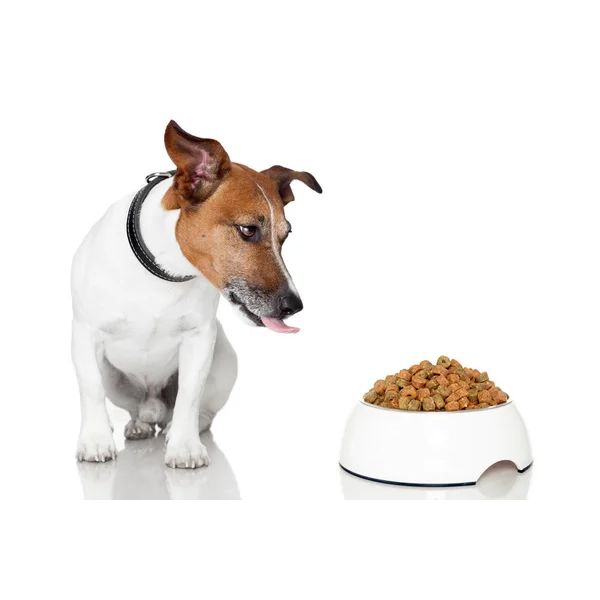 Корм для собак