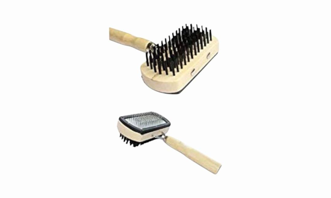 ძაღლის ჰიგიენა