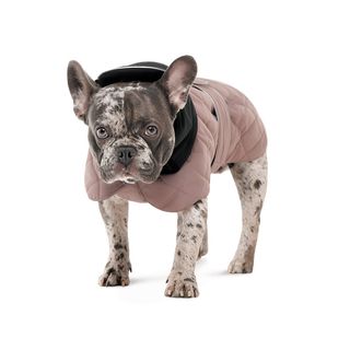 Попона Max М2 для собак