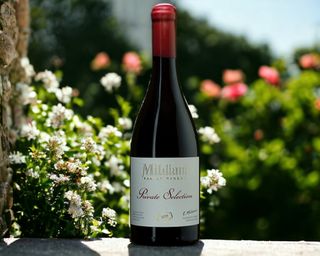 ოცხანური - მილდიანი / Otskhanauri - Mildiani