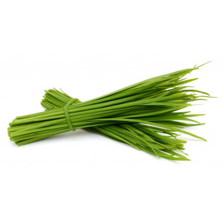 Зелень и салаты