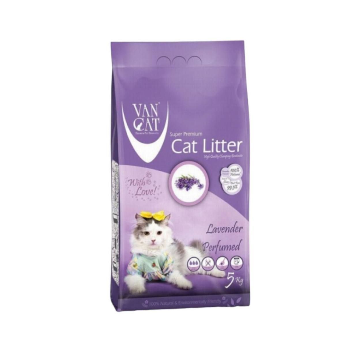 კატის ჰიგიენა