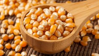 ბატი-ბუტის მარცვალი/pop-corn Grain 500გრ