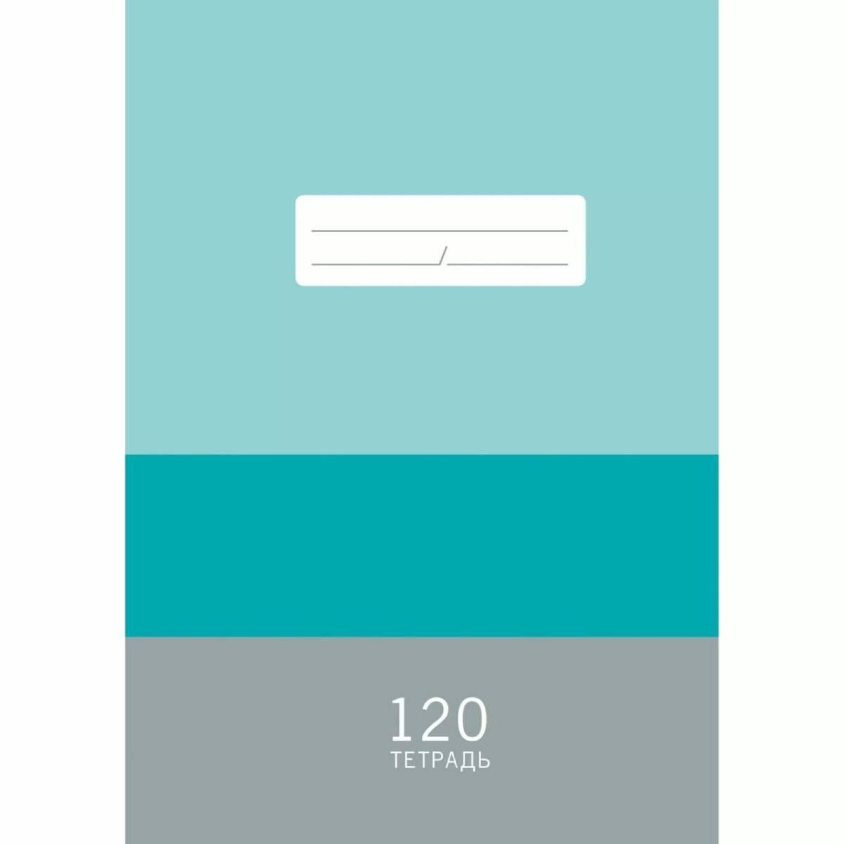 Тетради, дневники и обложки