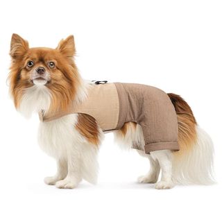 Шлея-костюм Darcy ТМ Pet Fashion для собак S