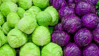 კომბოსტო/cabbage