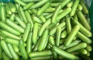 კიტრი პიკული (შეფუთვით) 700გრ