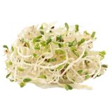 Мікрозелень люцерни Мікрогрін 50 г