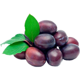 Слива Українська відбірна, 100г