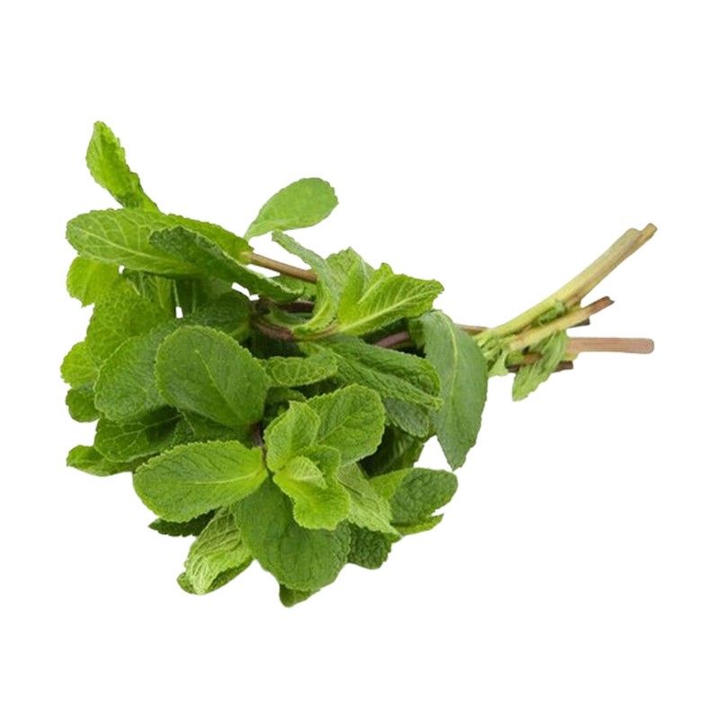 Зелень и салаты