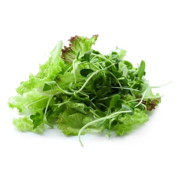 Зелень та салати