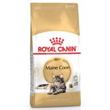 Maincoon 31 2 кг
