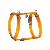 Шлея для собак анатомічна H-подібна WAUDOG Nylon Mono з QR-паспортом світловідбивна пластиковий фастекс розмір М Ш 20 мм А 40-70 см В 50-80см помаранч