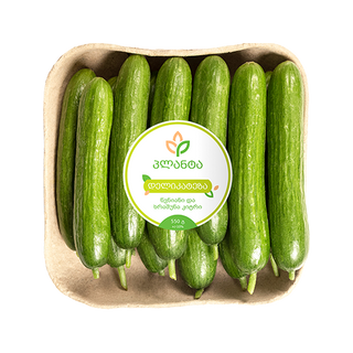 კიტრი დელიკატეზა 550გრ პლანტა