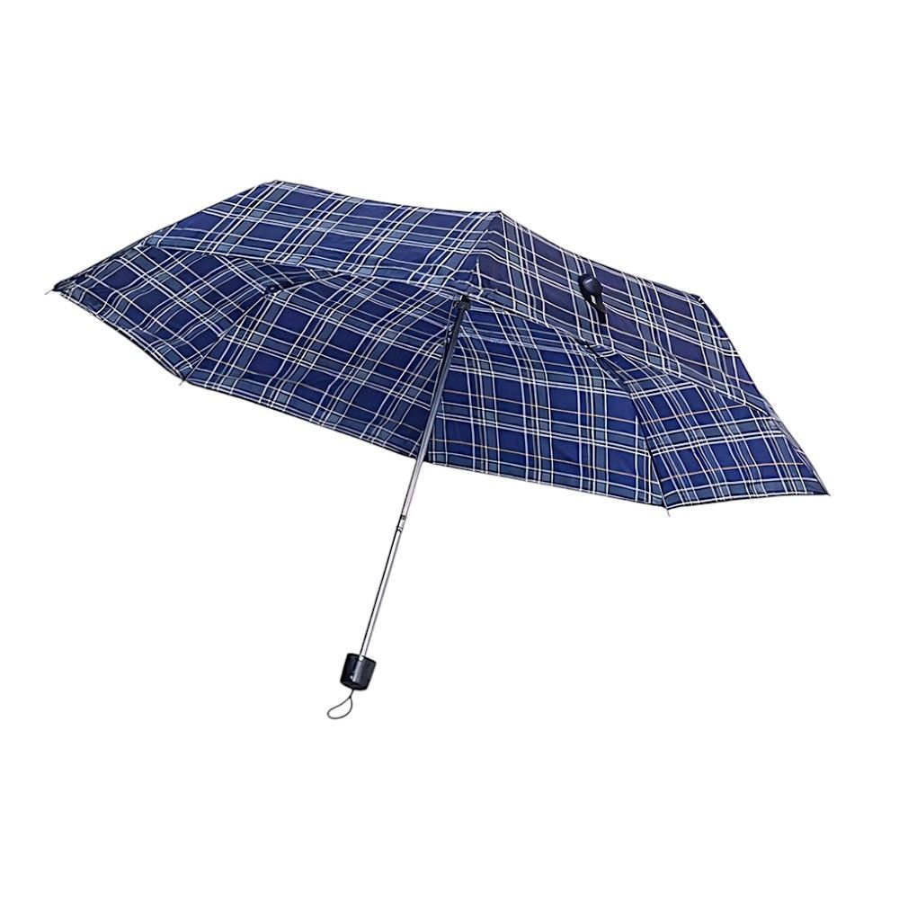 Парасольки та дощовики.