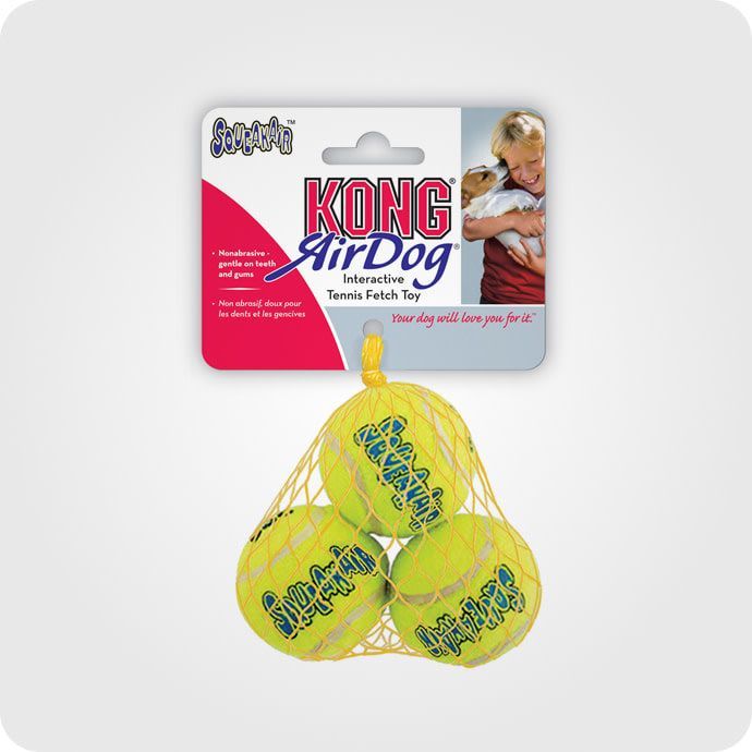 ძაღლის სათამაშო..