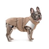 Жилет Chip для собак M2