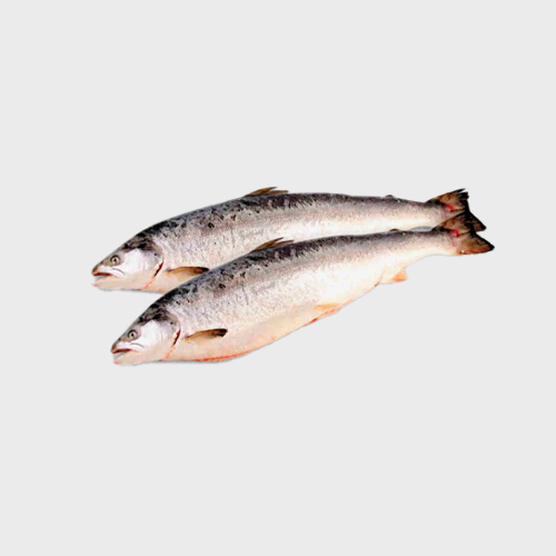 Замороженные деликатесы моря