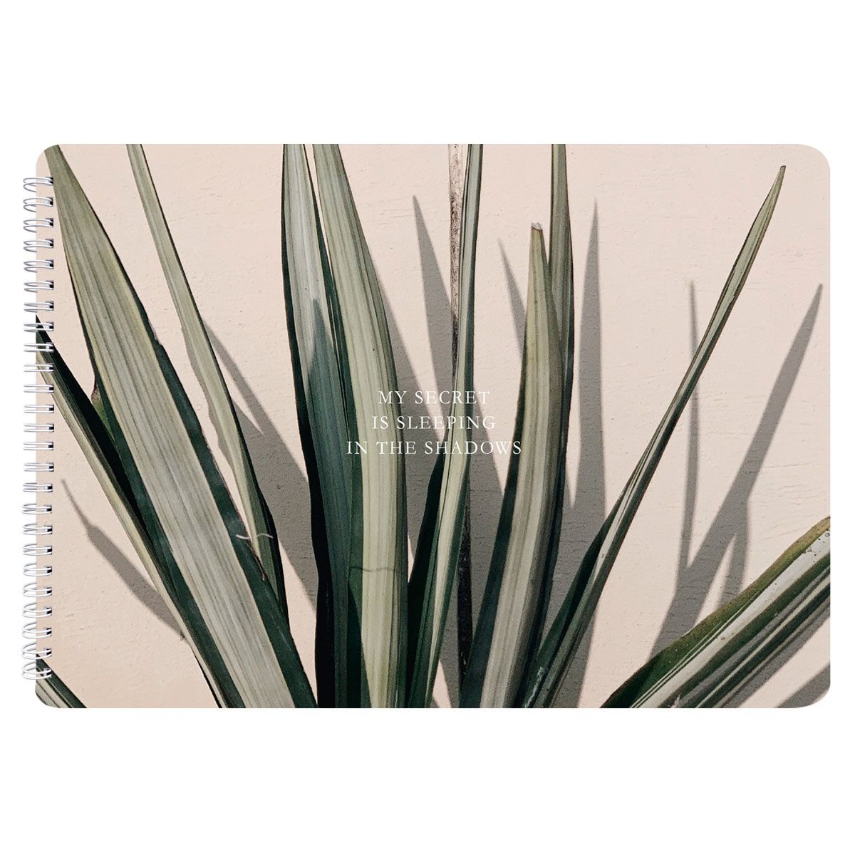 Альбомы и цветная бумага, картон