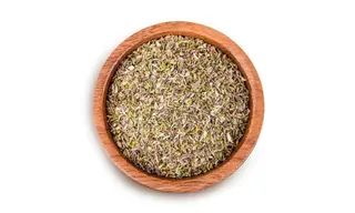 ორეგანო