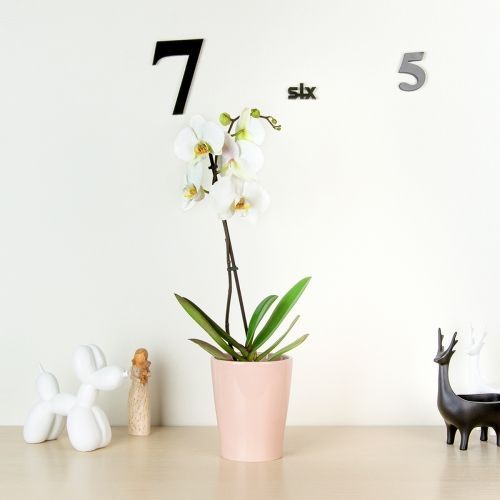 Аксесуари для кімнатних рослин