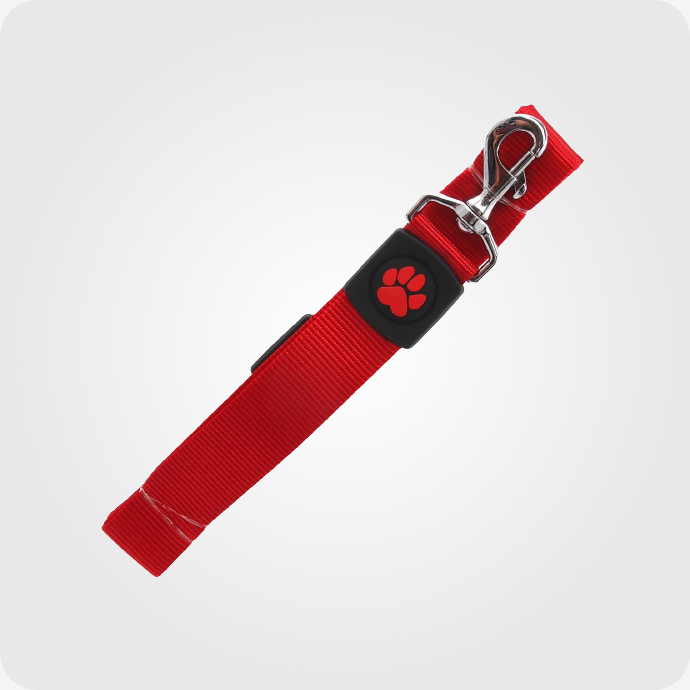 ძაღლის საყელოები და საბელები