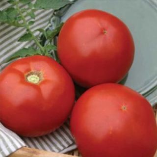 პომიდორი წითელი ქართული 1 კგ