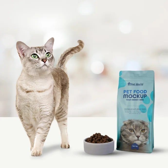 Корм для котів