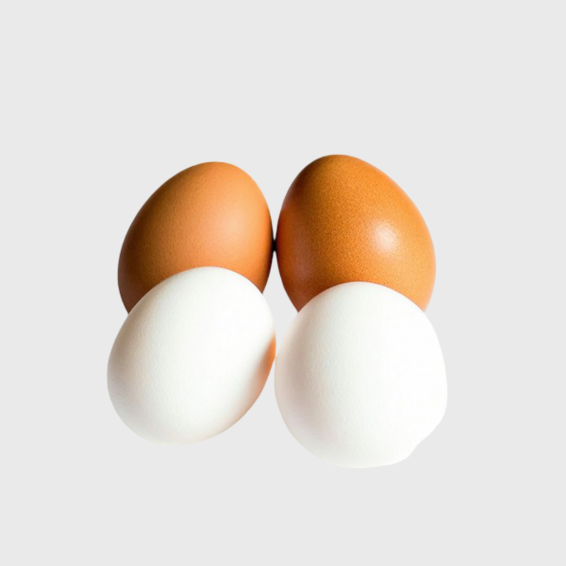 კვერცხი 