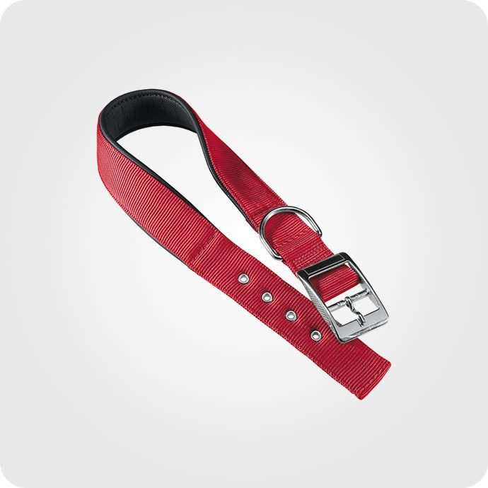 საყელო და საბელი.