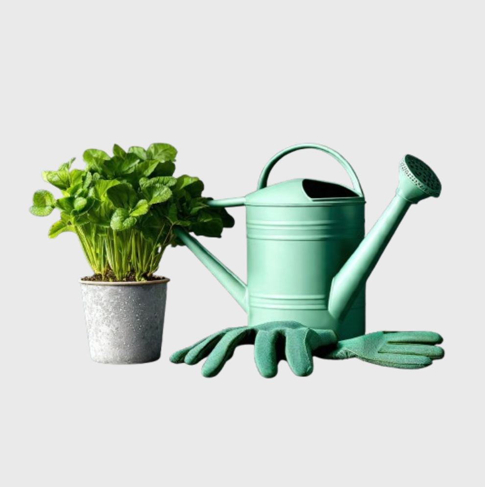 Այգու ապրանքներ