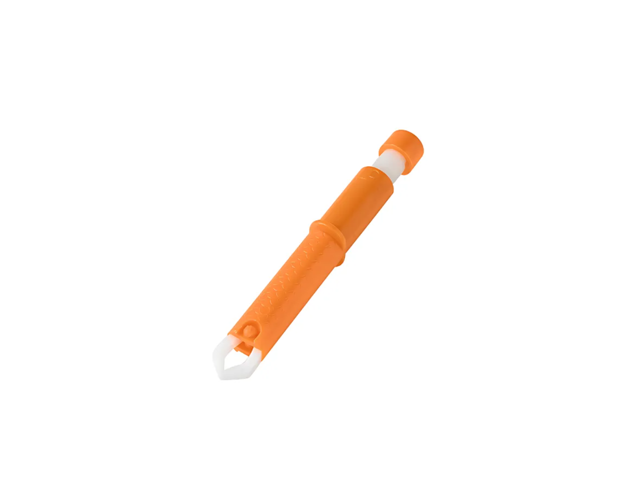 ძაღლის ჰიგიენა