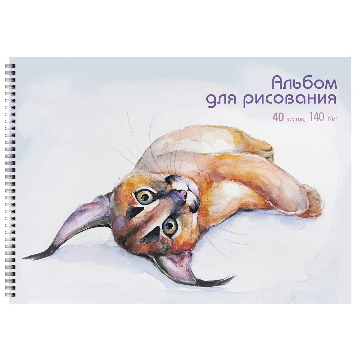 Альбомы и цветная бумага, картон