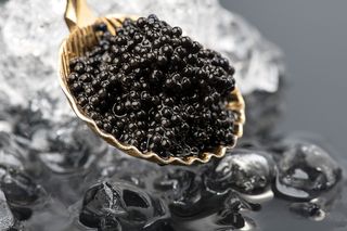 შავი ხიზილალა ზუთხის 500 გრ