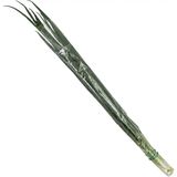 Цибуля зелена свіжа фасована 90 г