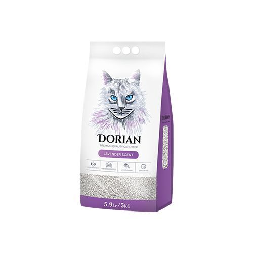 კატის ჰიგიენა