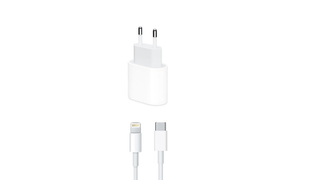 20W Type-C to Lightning Charging Adapter/Cable Combo