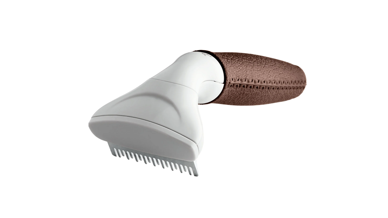 ძაღლის ჰიგიენა